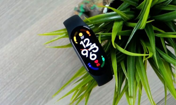 Фитнес-браслет Xiaomi Mi Band 7 добрался до прилавков в России